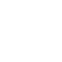 Real-time multilingual transcription