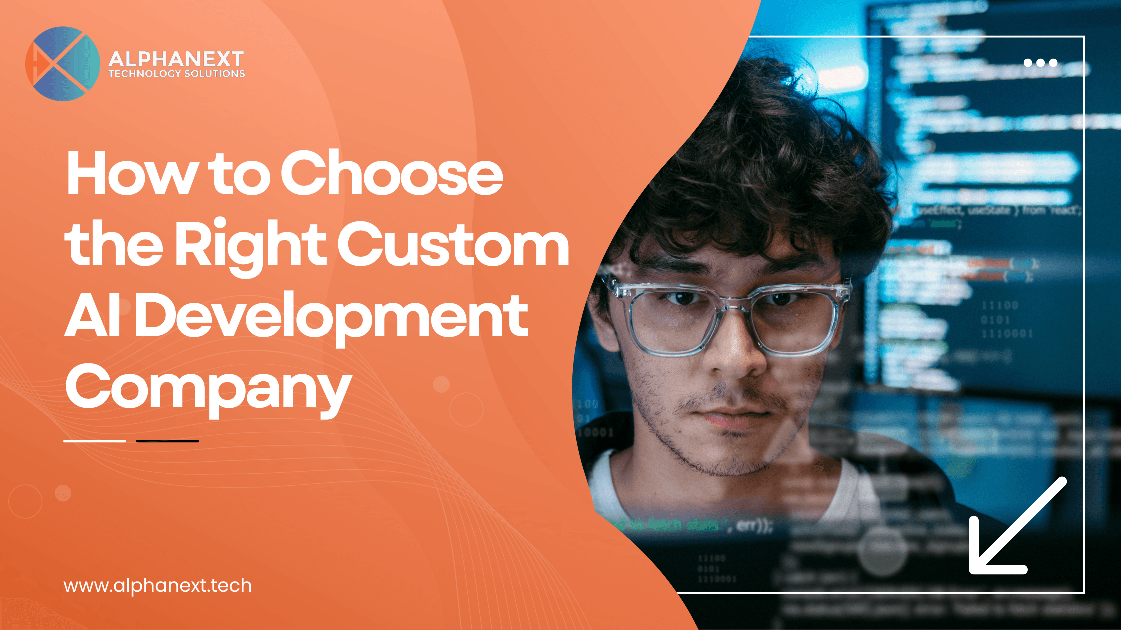 Custom AI Platform development by Alphanext Technology Solutions