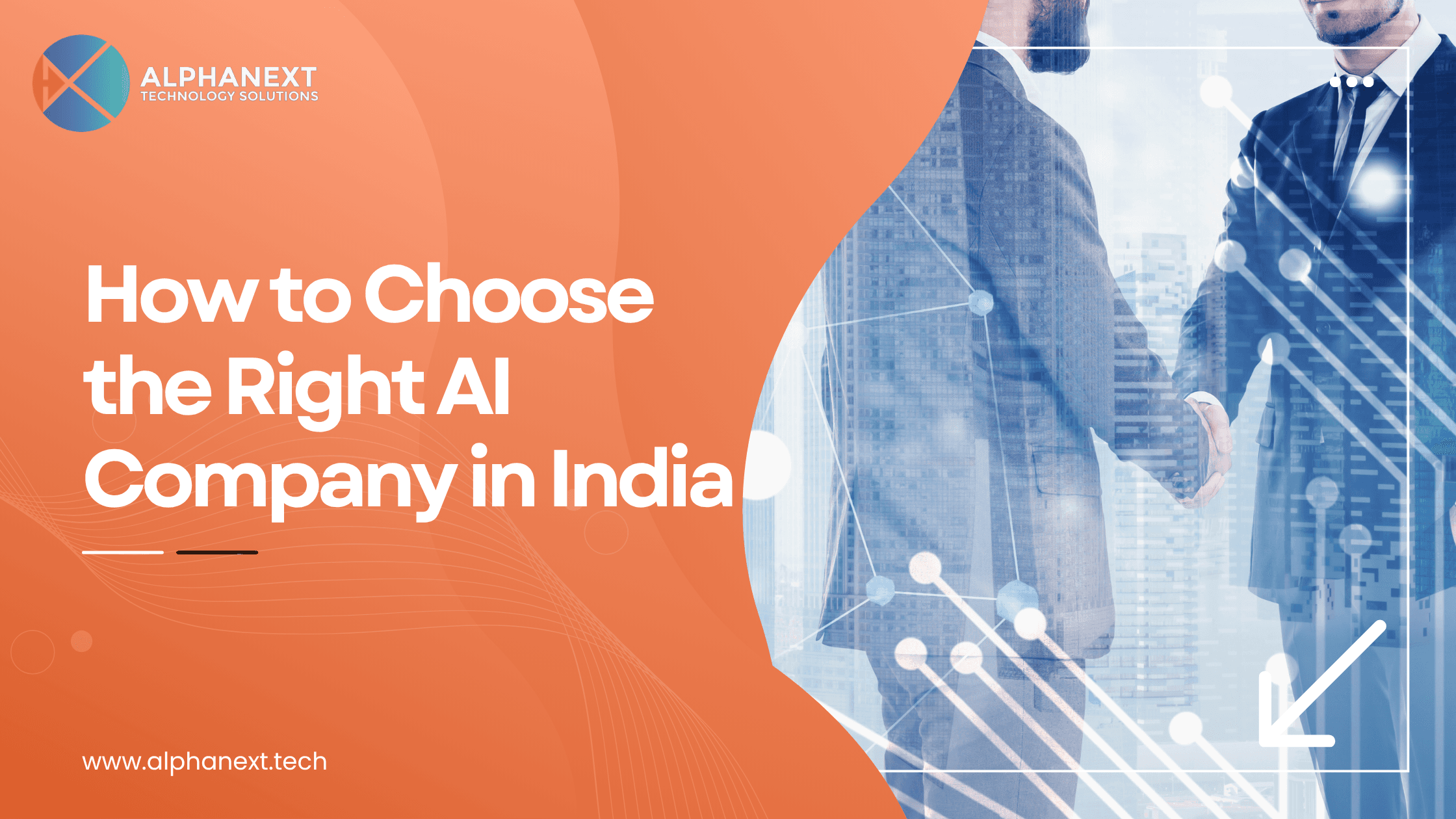 Custom AI Platform development by Alphanext Technology Solutions