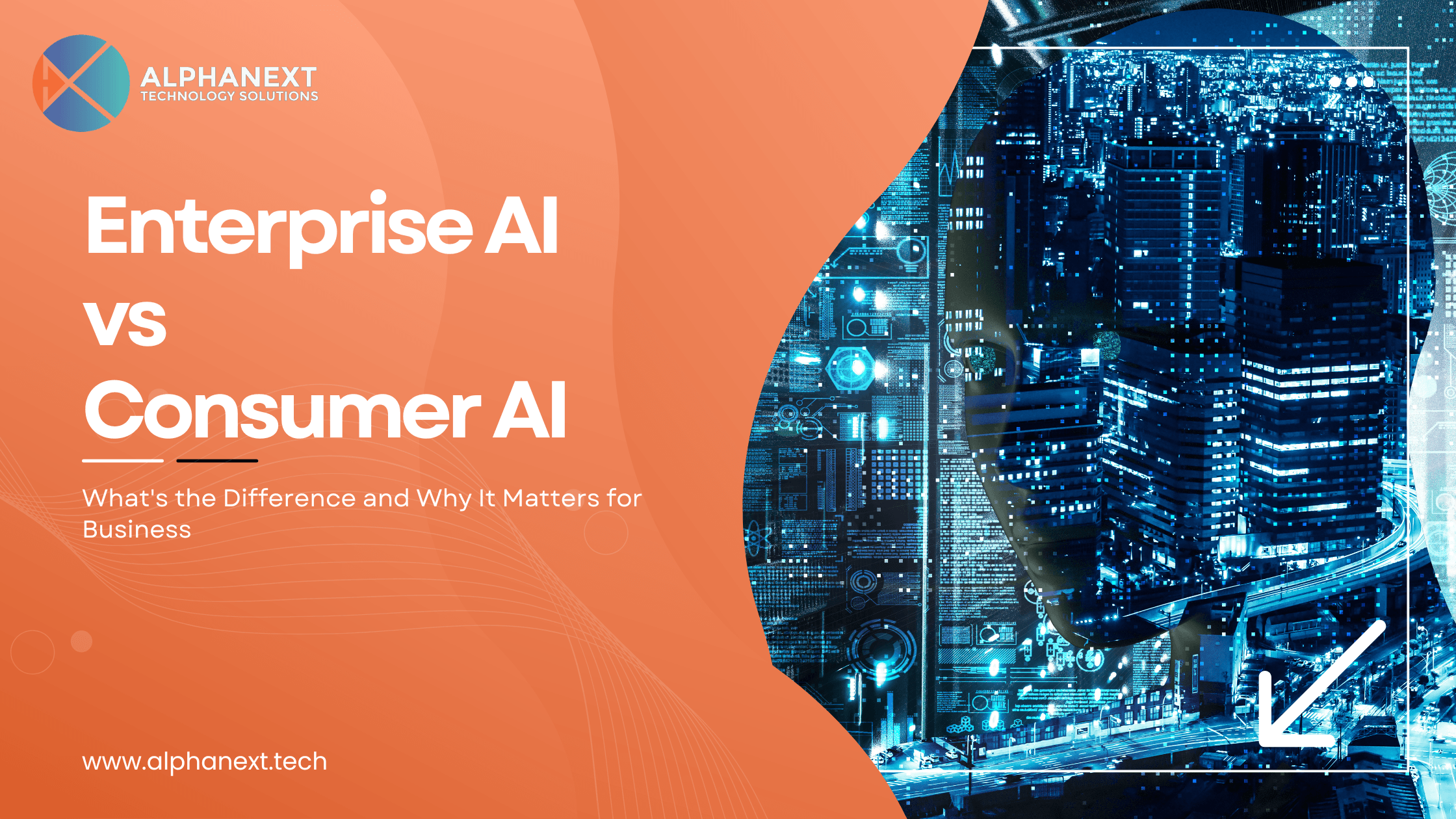 Custom AI Platform development by Alphanext Technology Solutions