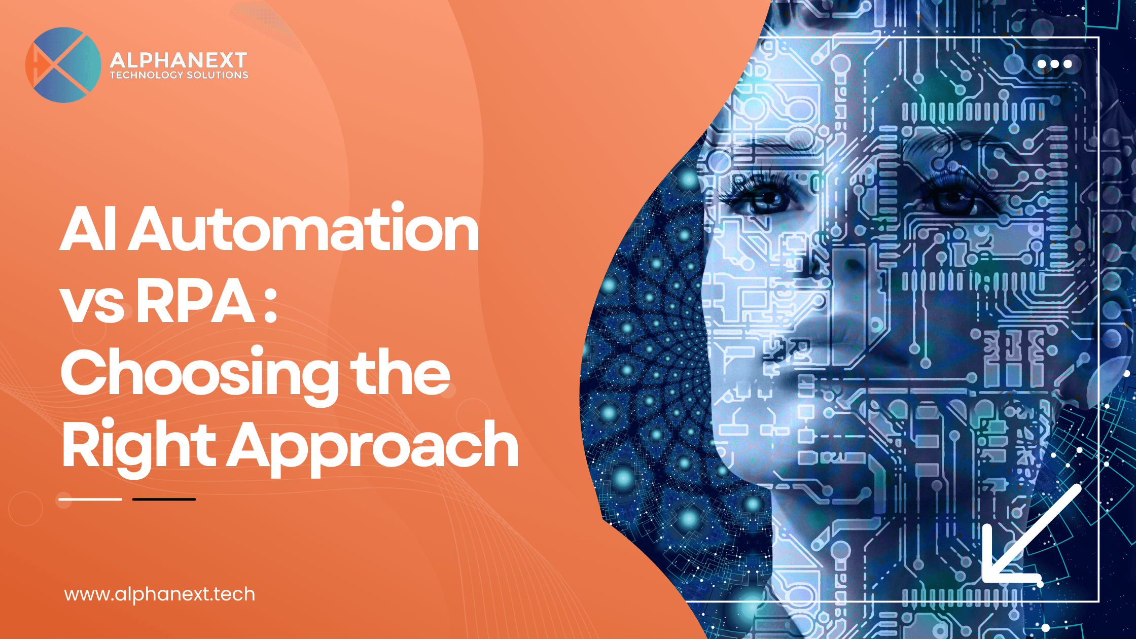 AI Automation services