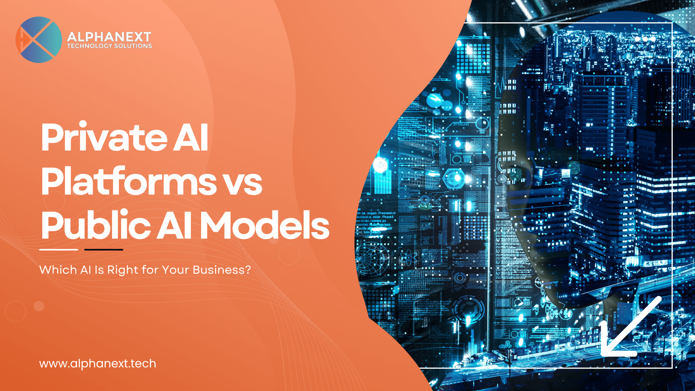 Custom AI Platform development by Alphanext Technology Solutions
